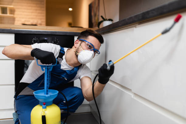 Best Bed Bug Extermination  in Malvern, AR