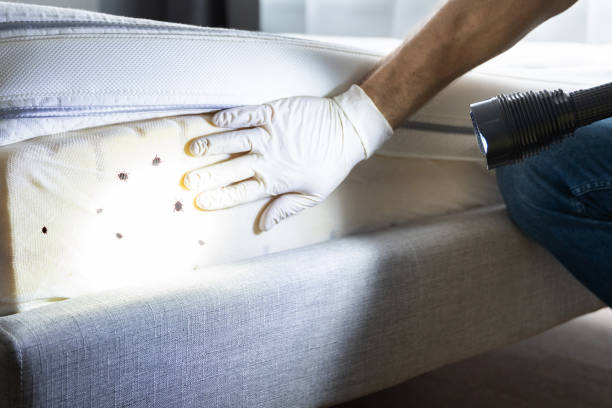 Malvern, AR Pest Control Company