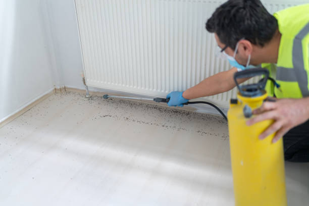 Best Pest Removal Services  in Malvern, AR